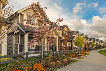 Neighbourhood of modern houses with spring flowers in Canada