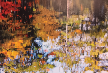Fall Water