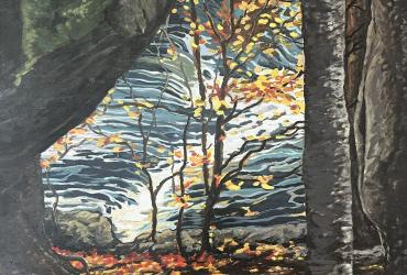 Autumn Muskoka Waterfall 